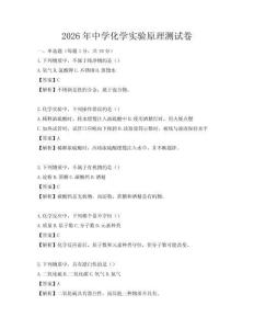 2026年中學化學實驗原理測試卷