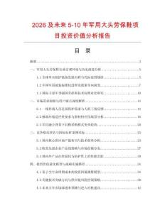 2026及未來5-10年軍用大頭勞保鞋項目投資價值分析報告
