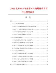2026及未來5年細(xì)牙外六角螺栓項(xiàng)目可行性研究報告