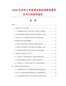 2026及未来5年新型全固态焊管电源项目可行性研究报告