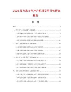 2026及未來5年沖片機項目可行性研究報告