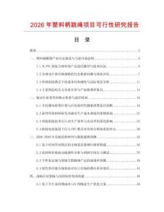 2026年塑料柄跳繩項目可行性研究報告