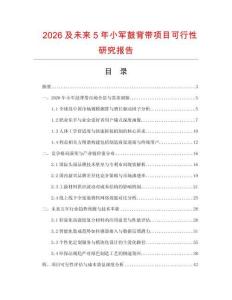 2026及未來5年小軍鼓背帶項目可行性研究報告