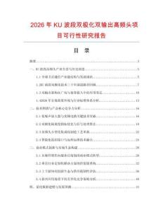2026年KU波段雙極化雙輸出高頻頭項目可行性研究報告