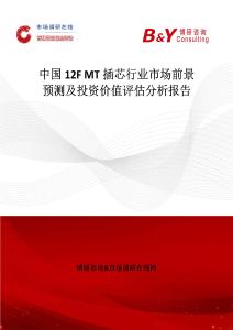 中國12F MT插芯行業市場前景預測及投資價值評估分析報告