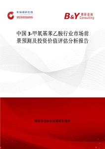 中國3-甲氧基苯乙胺行業市場前景預測及投資價值評估分析報告