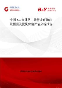 中國5G室外路由器行業市場前景預測及投資價值評估分析報告