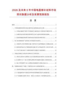 2026及未来5年中国龟裂修补材料市场现状数据分析及前景预测报告