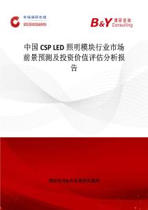 中國CSP LED照明模塊行業(yè)市場前景預(yù)測及投資價值評估分析報告