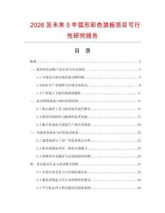 2026及未来5年弧形彩色浪板项目可行性研究报告