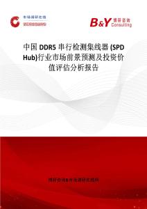 中國DDR5串行檢測集線器 (SPD Hub)行業市場前景預測及投資價值評估分析報告