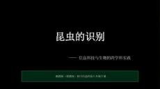 跨學科活動《昆蟲的識別》教學課件-2025-2026學年湘教版（新教材）初中信息科技八年級下冊