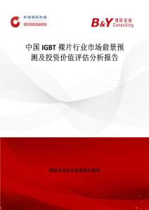 中國IGBT裸片行業市場前景預測及投資價值評估分析報告