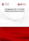 中國MicroSD存儲卡行業市場前景預測及投資價值評估分析報告
