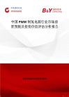 中國PWM制氫電源行業市場前景預測及投資價值評估分析報告