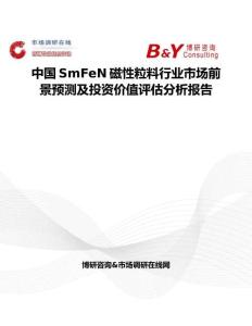 中國SmFeN磁性粒料行業市場前景預測及投資價值評估分析報告