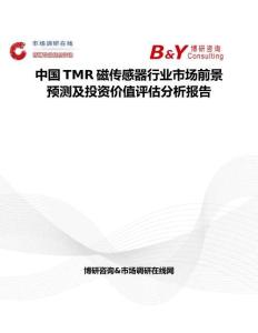 中國TMR磁傳感器行業市場前景預測及投資價值評估分析報告