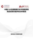 中國八水合硫酸鎘行業市場前景預測及投資價值評估分析報告