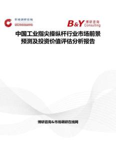 中國工業指尖操縱桿行業市場前景預測及投資價值評估分析報告