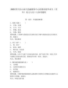 2025四川樂(lè)山沐川縣融媒體中心招募高校畢業(yè)生（青年）見(jiàn)習(xí)人員1人參考題庫(kù)及答案詳解（最新）