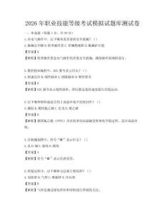 2026年職業技能等級考試模擬試題庫測試卷