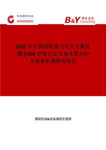 2025年中國(guó)齒輪滾刀用立方氮化硼 (CBN) 砂輪行業(yè)市場(chǎng)全景分析及前景機(jī)遇研判報(bào)告
