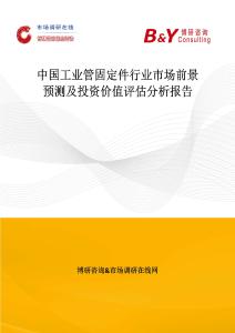 中國(guó)工業(yè)管固定件行業(yè)市場(chǎng)前景預(yù)測(cè)及投資價(jià)值評(píng)估分析報(bào)告
