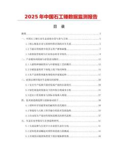 2025年中国石工锤数据监测报告