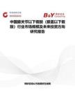 中国膝关节以下假肢（膝盖以下假肢）行业市场规模及未来投资方向研究报告