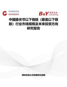 中国膝关节以下假肢（膝盖以下假肢）行业市场规模及未来投资方向研究报告