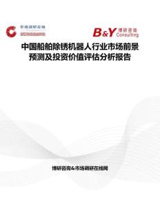 中國船舶除銹機器人行業(yè)市場前景預(yù)測及投資價值評估分析報告