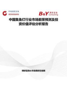 中國集魚燈行業市場前景預測及投資價值評估分析報告