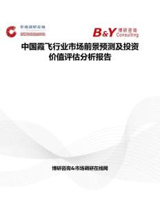 中國霞飛行業市場前景預測及投資價值評估分析報告