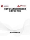 中國青石行業市場前景預測及投資價值評估分析報告