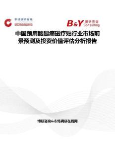 中国颈肩腰腿痛磁疗贴行业市场前景预测及投资价值评估分析报告