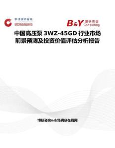 中國高壓泵3WZ-45GD行業市場前景預測及投資價值評估分析報告