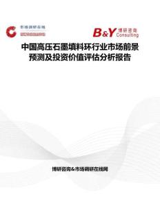 中国高压石墨填料环行业市场前景预测及投资价值评估分析报告