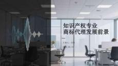知識(shí)產(chǎn)權(quán)專業(yè)商標(biāo)代理發(fā)展前景