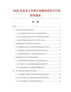 2026及未來5年筍片回鍋肉項目可行性研究報告