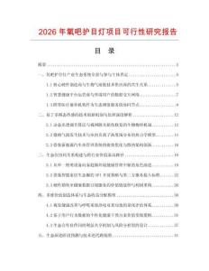 2026年氧吧护目灯项目可行性研究报告