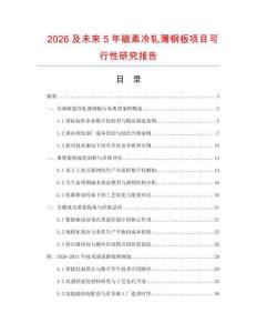2026及未來(lái)5年碳素冷軋薄鋼板項(xiàng)目可行性研究報(bào)告
