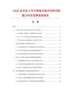 2026及未来5年中国曳引链市场现状数据分析及前景预测报告