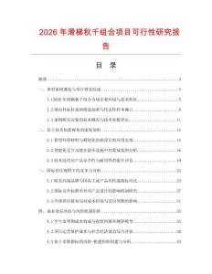 2026年滑梯秋千組合項目可行性研究報告