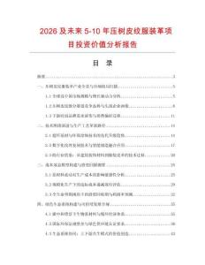 2026及未來5-10年壓樹皮紋服裝革項目投資價值分析報告