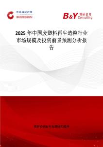 2025年中國廢塑料再生造粒行業市場規模及投資前景預測分析報告