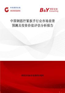 中國鋼筋擰緊扳手行業市場前景預測及投資價值評估分析報告