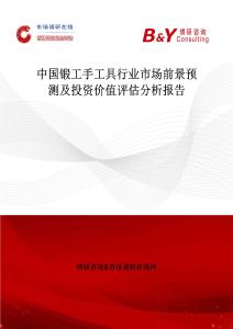 中国锻工手工具行业市场前景预测及投资价值评估分析报告