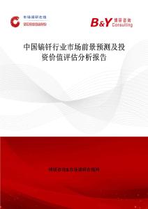 中國鎬釬行業市場前景預測及投資價值評估分析報告