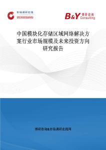 中國模塊化存儲區域網絡解決方案行業市場規模及未來投資方向研究報告
