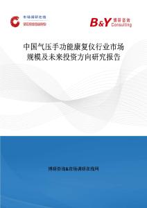 中国气压手功能康复仪行业市场规模及未来投资方向研究报告